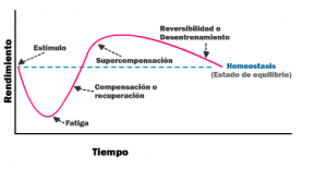 Ciclo de supercompensación