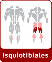 Isquitibiales con Gluteos y Gemelos