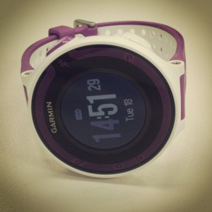 Garmin Forerunner 220