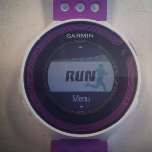 Garmin Forerunner 220