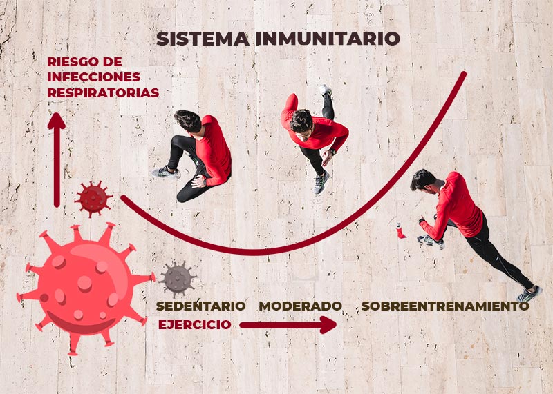 Sistema inmunitario ejercicio